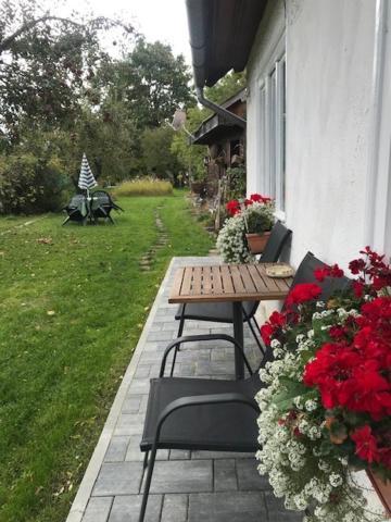 Casuta Sanatatii Hotel Covasna Luaran gambar