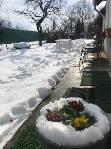 Casuta Sanatatii Hotel Covasna Luaran gambar