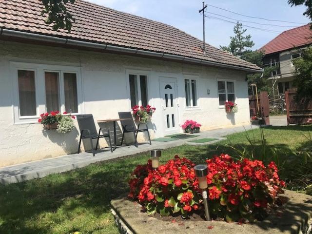 Casuta Sanatatii Hotel Covasna Luaran gambar