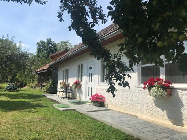 Casuta Sanatatii Hotel Covasna Luaran gambar